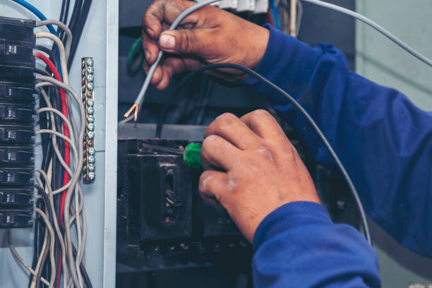 Best Local Electrician Companies  in Tropical Park, FL